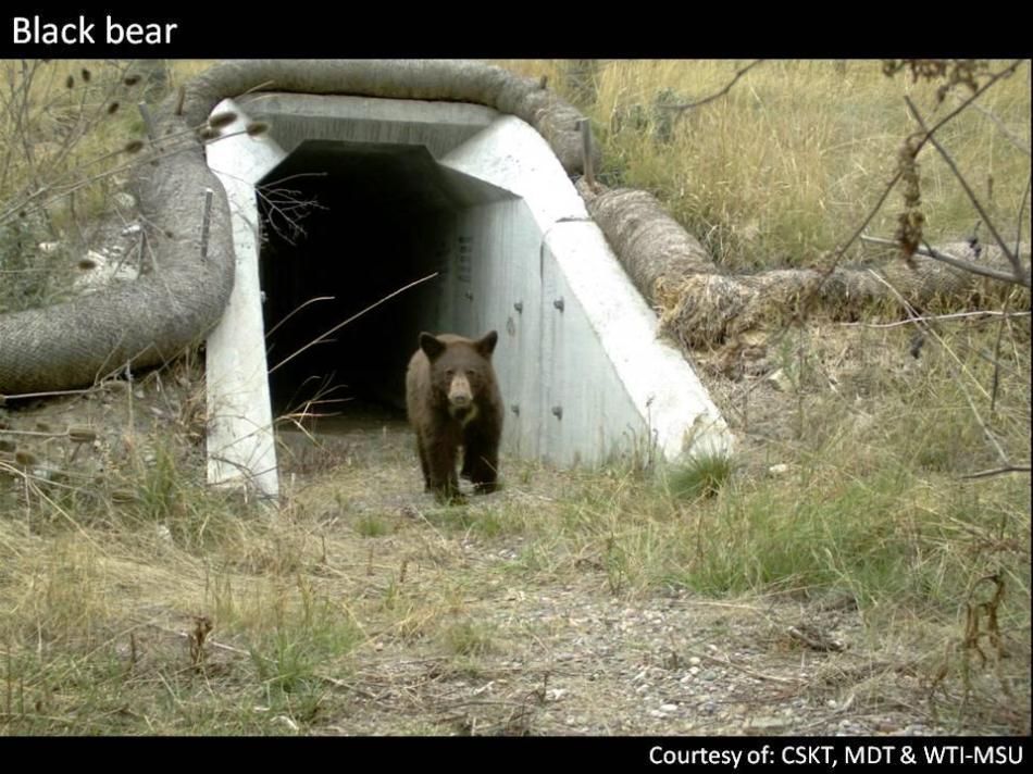 403064_102621676532233_101794863281581_6588_1488018915_n