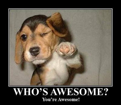 whos awesome