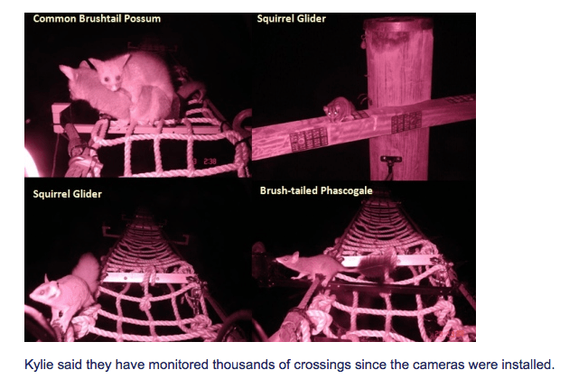 Screen Shot 2016-03-15 at 12.15.08 pm