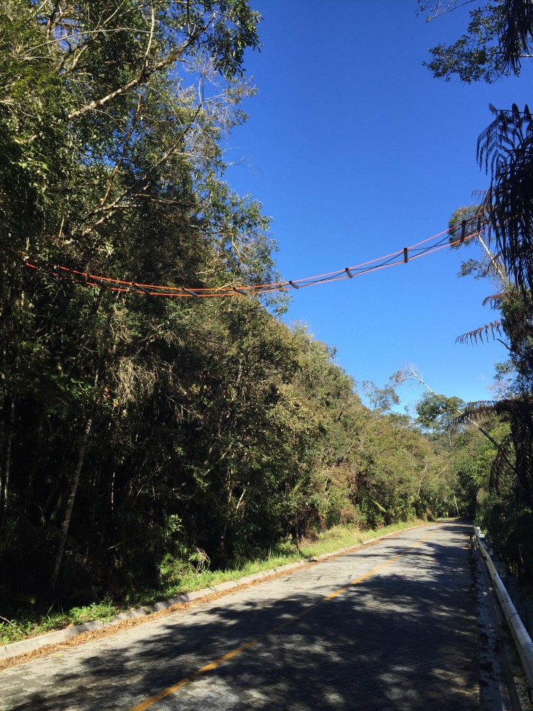 CBSP bridge 2016-07-17 10.00.39